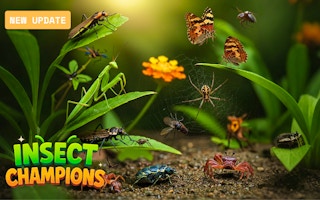 Image Insect Champions